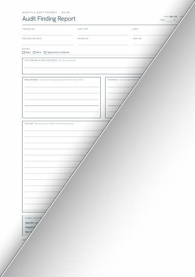 Audit Finding Report